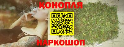 spice Обь