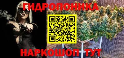 прущие крисы Нягань
