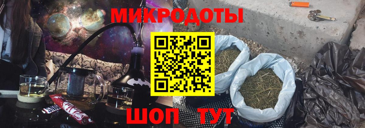Псилоцибиновые грибы Psilocybe Казань